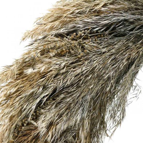 Floristik24 Decorative wreath dry grass and grain Ø55cm dry wreath