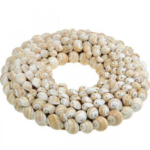 Floristik24 Snail wreath, maritime decoration, natural Mattukan snails natural colors Ø39.5cm