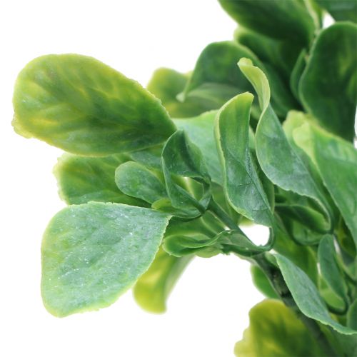 Floristik24 Basil in a bunch artificial green 36cm 6pcs