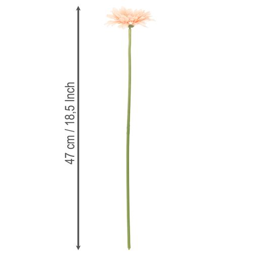 Artificial Gerbera Flowers Apricot 47cm 6pcs | Floristik24.ie