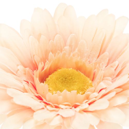 Artificial Gerbera Flowers Apricot 47cm 6pcs | Floristik24.ie