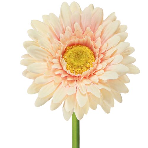 Artificial Flowers Gerbera Apricot 47cm