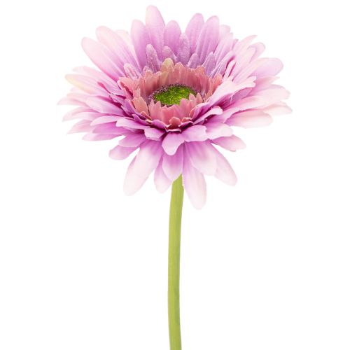 Artificial Gerbera Garden Flowers, Purple, 47cm, 6 Pieces buy online | Floristik24.ie