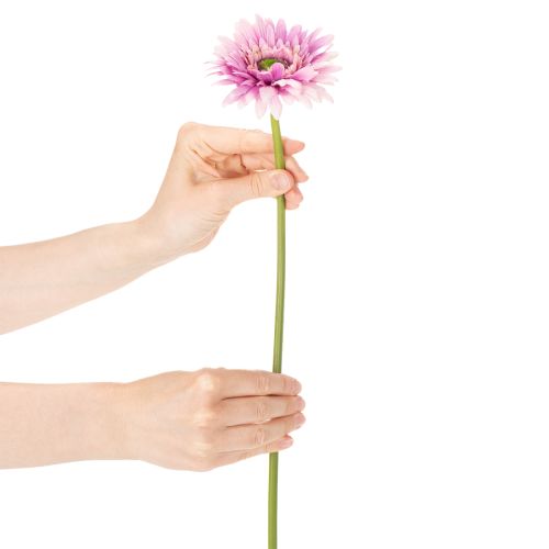 Artificial Gerbera Garden Flowers, Purple, 47cm, 6 Pieces | Floristik24.ie