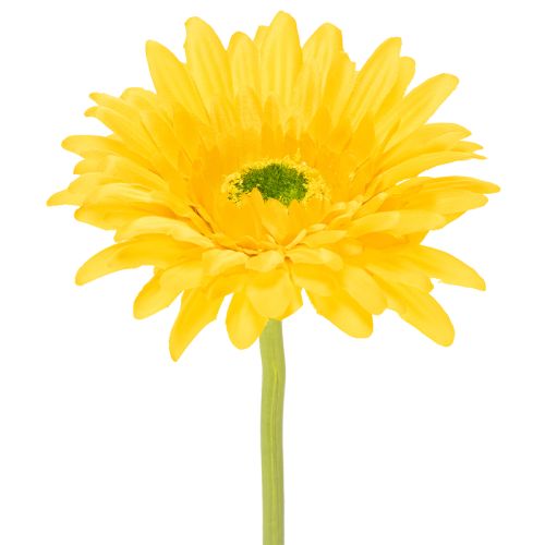 Artificial Gerbera Flowers, Sunny Yellow, Garden Flower, 47cm, 6 Pieces buy online | Floristik24.ie