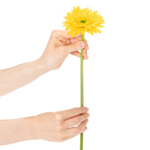 Artificial Gerbera Flowers, Sunny Yellow, Garden Flower, 47cm, 6 Pieces | Floristik24.ie
