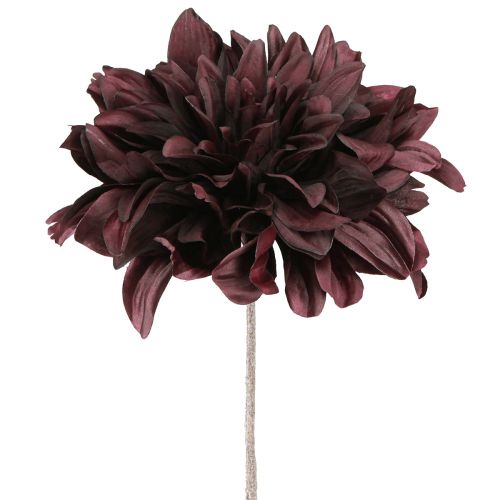 Floristik24 Artificial Dahlia with large flower in Burgundy L58cm