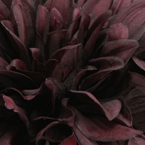 Floristik24 Artificial Dahlia with large flower in Burgundy L58cm