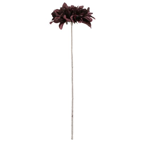Floristik24 Artificial Dahlia with large flower in Burgundy L58cm