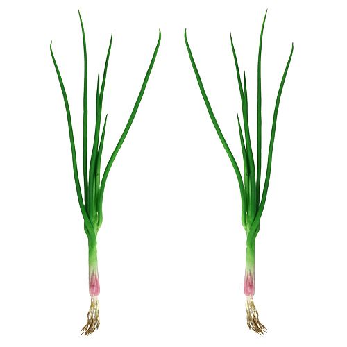 Floristik24 Artificial spring onions 30cm 4pcs