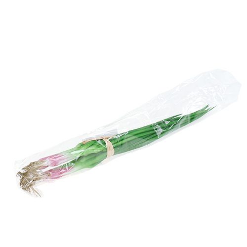 Floristik24 Artificial spring onions 30cm 4pcs