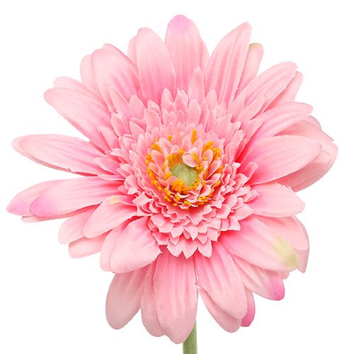 Floristik24 Artificial gerbera pink Ø10cm L53cm 6pcs