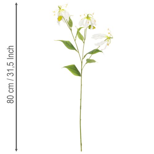 Artificial Gloriosa flower, white and yellow, elegant flowering branch for decoration, 80cm, 3 pieces | Floristik24.ie