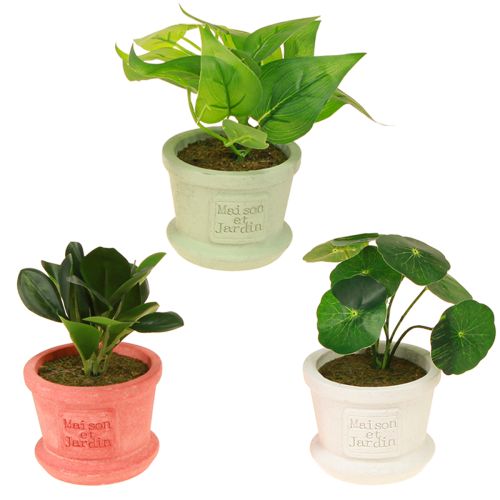Product Artificial Green Plants Mini Plants in Pot 15cm 3pcs