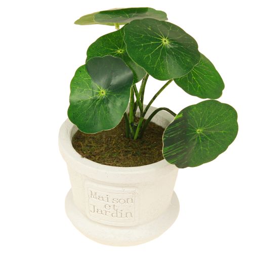 Product Artificial Green Plants Mini Plants in Pot 15cm 3pcs