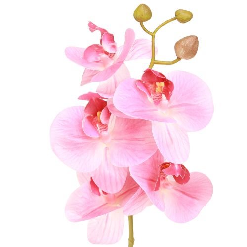Product Artificial Orchids Pink Artificial Flowers Like Real 56cm 3 Pcs