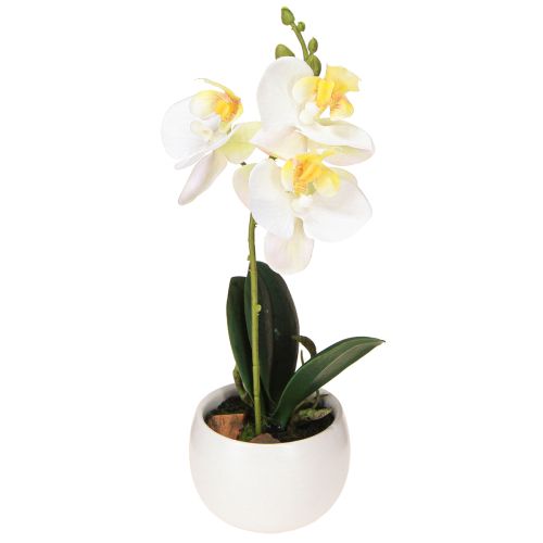 Product Artificial orchids in pot white mini orchids Ø7cm H22cm