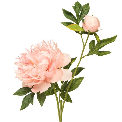 Floristik24 Artificial Peonies Pink Paeonia Salmon L60cm 2pcs