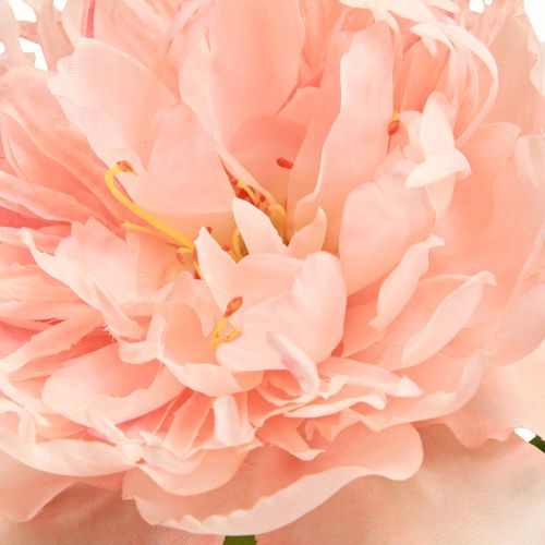 Floristik24 Artificial Peonies Pink Paeonia Salmon L60cm 2pcs