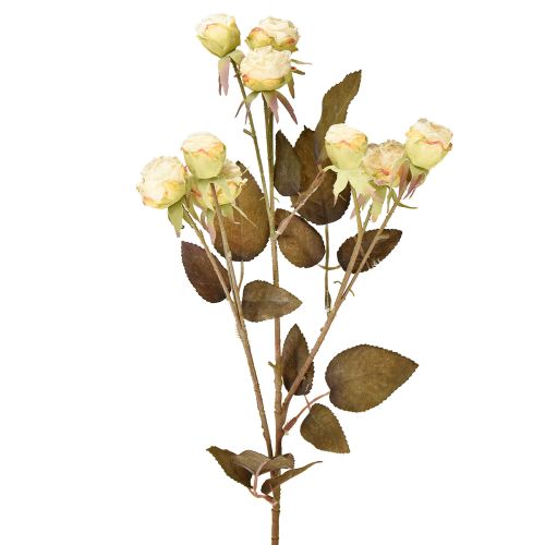 Artificial roses wilted Drylook 9 petals cream 69cm