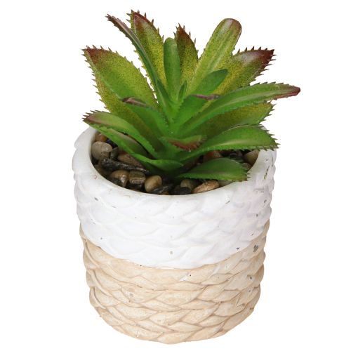 Product Artificial Succulents in Ceramic Pot 12.5cm 3pcs
