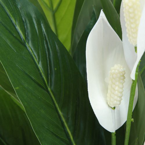 Floristik24 Artificial Potted Plant Peace Lily Green White 55cm
