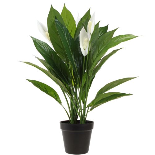 Floristik24 Artificial Potted Plant Peace Lily Green White 55cm