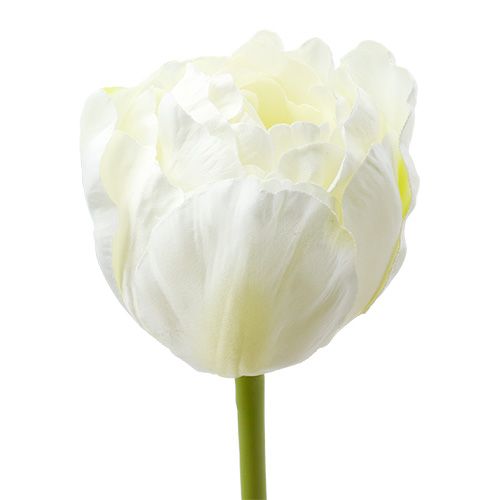 Floristik24 Artificial tulips white-green 86cm 3pcs