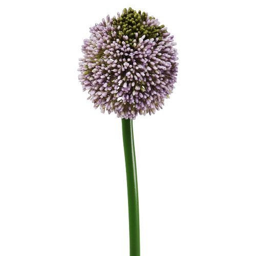 Artificial flowers allium purple Ø10cm L65cm