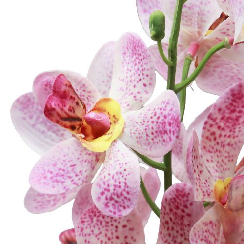 Product Artificial Orchid Pink White Artificial Flower Orchid 73cm