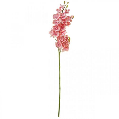Floristik24 Artificial orchids deco artificial flower orchid pink 71cm
