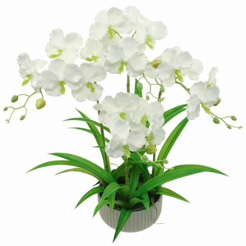 Floristik24 Artificial Orchids Artificial Flowers in Pot White 60cm
