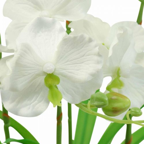 Product Artificial orchids artificial flowers in white pot 60cm