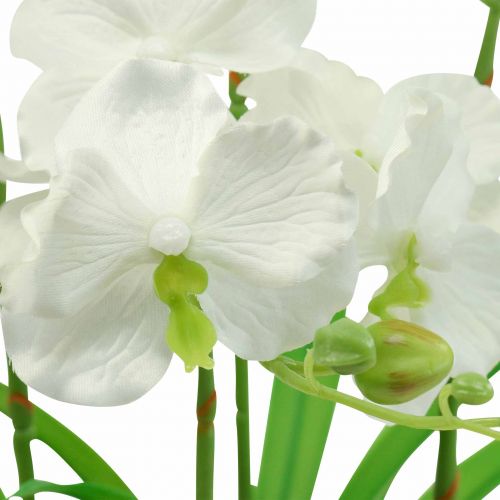 Floristik24 Artificial Orchids Artificial Flowers in Pot White 60cm