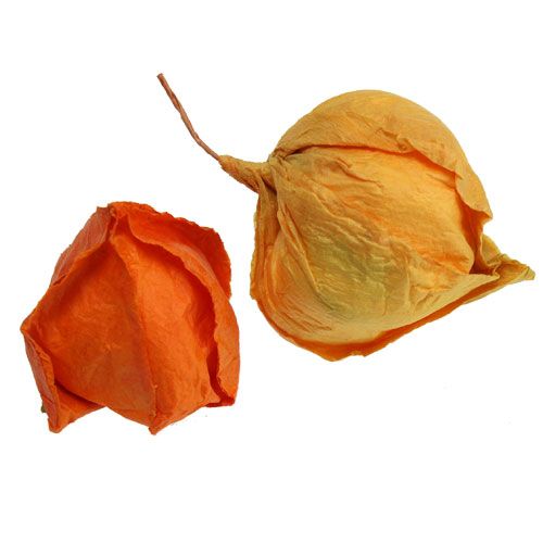 Floristik24 Artificial Physalis sort. 32pcs