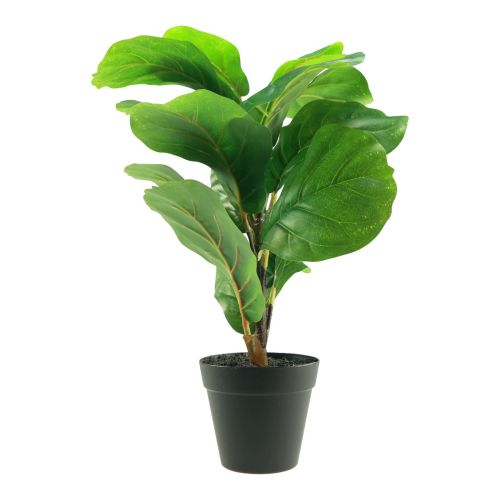 Floristik24 Artificial potted plant Ficus artificial plant in pot 42cm