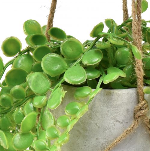 Floristik24 Artificial Potted Plants Succulents Hanging Basket 46cm