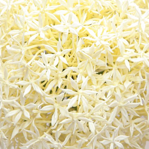 Product Artificial Allium Cream White Ornamental Onion Ø18cm L90cm
