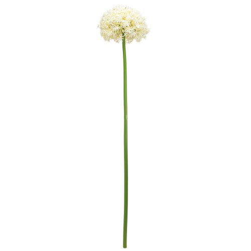 Product Artificial Allium Cream White Ornamental Onion Ø18cm L90cm