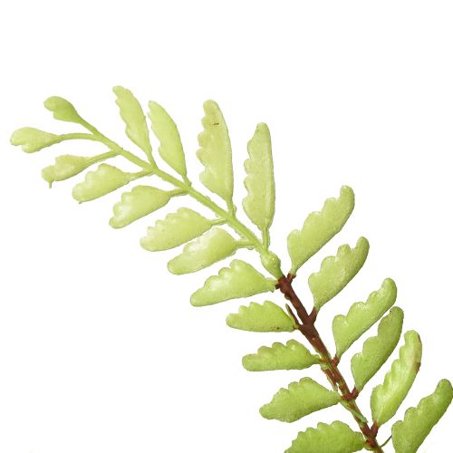 Product Artificial fern decoration artificial fern artificial plant green 42cm