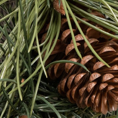 Artificial pine branch wreath with cones 60 cm | Floristik24.ie