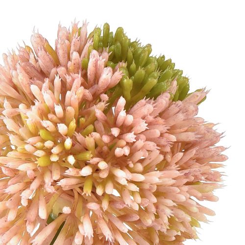 Floristik24 Artificial Allium Ornamental Onion Pink Green Ø10cm L65cm