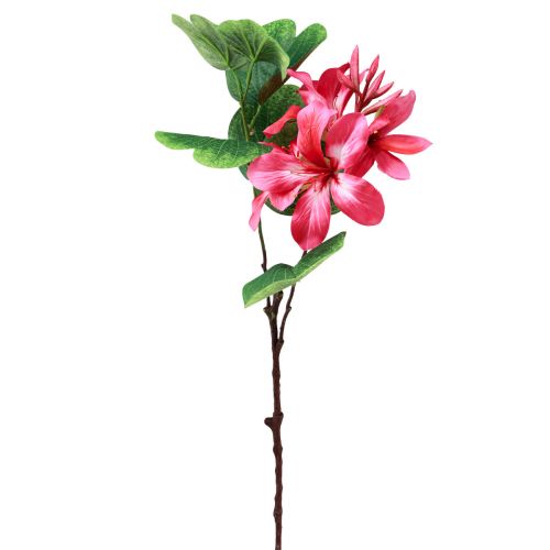 Floristik24 Artificial orchid branch Bauhinia Pink artificial plant 62cm