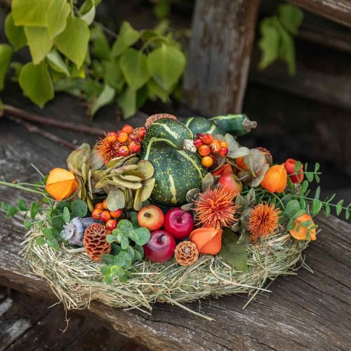 Floristik24 Artificial Ornamental Pumpkin Dark Green 11cm 6 pcs