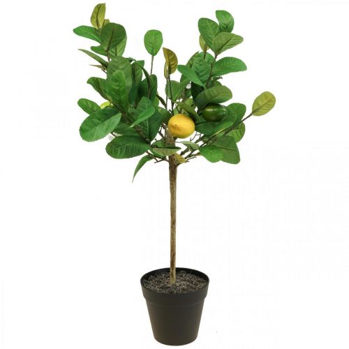 Floristik24 Artificial lemon tree in a pot Lemon tree H57cm