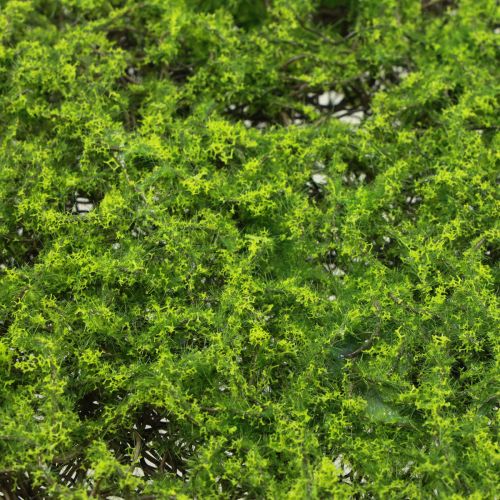 Floristik24 Artificial moss mat artificial moss artificial plants 70×35cm