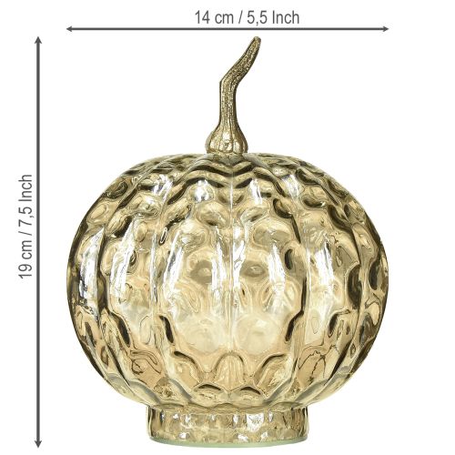Product Pumpkin decoration glass glass pumpkin table decoration autumn Ø14cm H19cm
