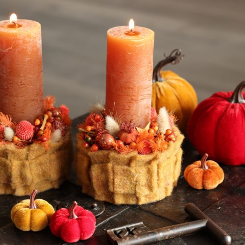 Decorative pumpkin set made of velvet in three colors, mini pumpkins 5cm, 12 pieces | Floristik24.ie