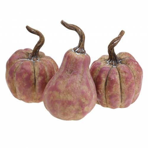 Floristik24 Mini pumpkin set orange, lilac Ø6.5–7cm 6 pcs