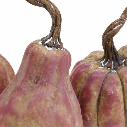 Floristik24 Mini pumpkin set orange, lilac Ø6.5–7cm 6 pcs